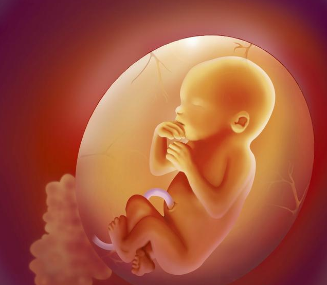 2024北京可以做供卵试管婴儿的医院排行前三的是哪几家？