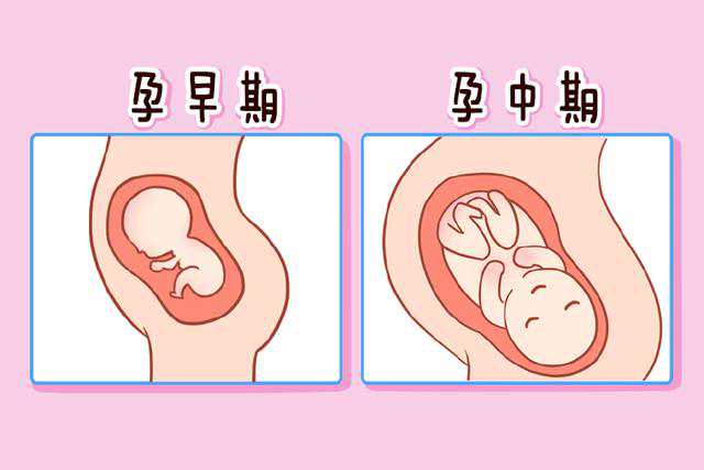 北京私立供卵试管医院有哪些?
