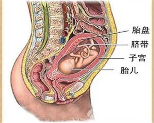 北京代孕医院：代孕前3个月是孕检最佳时间