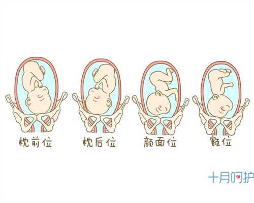 北京代孕f：山楂有助代孕女性代孕前调理月经