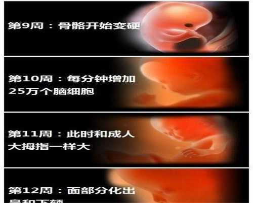 北京代孕：怀了双胞胎应注意些什么？
