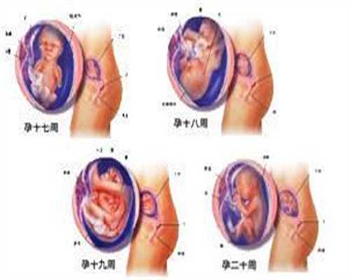 北京代孕a：留心妊娠途中的“指示灯”