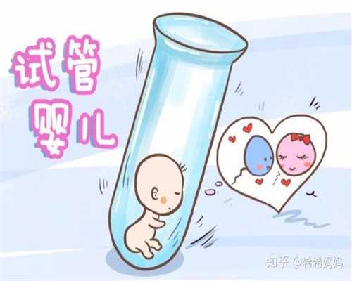 北京试管代孕费用代怀孕中期可以吃韭菜吗