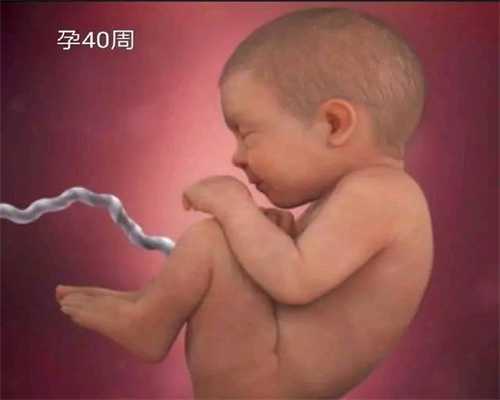 北京代孕价格：预防少精症要掌握哪些方法