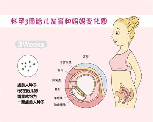 北京代孕吕峰：[试管婴儿]移植后的第十天一大早