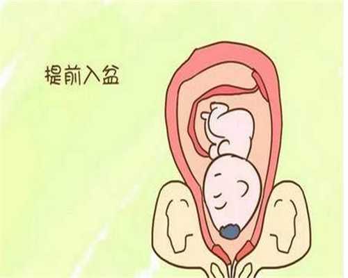 北京有供卵的_北京代孕治疗是什么意思_北京代孕哪家好