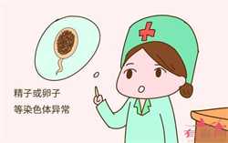 北京包性别代孕套餐，做泰国试管婴费用要多少？哪家医院的成功率高？