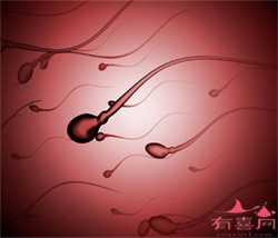 北京哪家医院可以供卵~北京哪个医院能做供卵，妊娠后白带会发生什么变化？